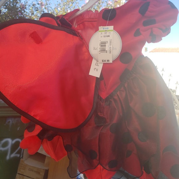 Infant Ladybug costume - Picture 3 of 5